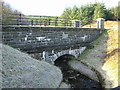 Aqueduct in Loch Ard Forest