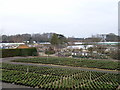 Notcutts Garden Centre, Bagshot