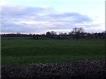 SJ6150 : Fields near Crabmill farm by Nigel Williams