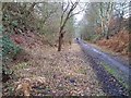 SK4618 : Disused railway cutting, Blackbrook Wood, Shepshed, Leicestershire by Ralph Rawlinson