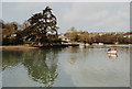 Kingsbridge Estuary, Kingsbridge