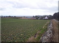 West Balmirmer Farm and Balmirmer Cottages