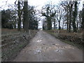 Entrance to Hodsock Priory