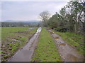 Farm Track, Public Footpath