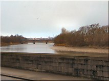 SD5228 : River Ribble from Penwortham Bridge by Roger May
