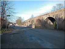 SP3065 : Railway Viaduct by Dennis Turner