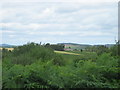 Whitton Hill Head and Whitton Dene