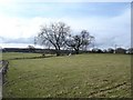 Moelfre farmland