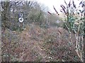 Overgrown railway trackbed approaching the site of Pantyresk level crossing at West End in Ebbw Vale