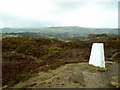 the view from Wolfstones Height looking east