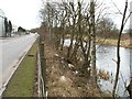 Forth and Clyde canal near Bonnybridge