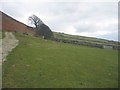 Farmland above Gwastadgoed