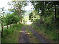 Country Lane, Stowfield