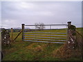 Old and new gateposts