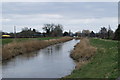 River Parrett