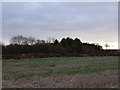 Farmland near Hagbourne Mill