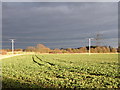 Farmland at East Hagbourne