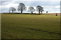 Ridge and Furrow field, near Colesbourne