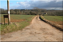 SP0114 : Driveway to Staple Farm, Colesbourne by Philip Halling