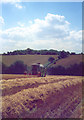 Harvest time at Rudwick Hall