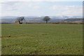 Black Mountains viewed from near Wormbridge