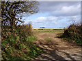 Looking towards Treassowe and Trencrom