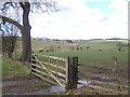 Countryside betwixt Broughton and East Marton