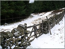 NT2942 : Tracks and wall, Glentress Forest by Chris Eilbeck
