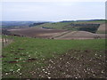 Valley in the Moulsford Downs