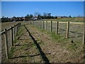 Footpath through horse-paddocks