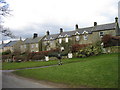 Ingoe, terrace houses