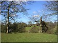 Above the River Dean