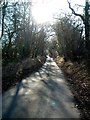 Rossway Lane, south of Tinker