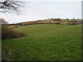 Farmland and Eype Down