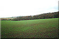 Fields and Woods, Glapwell, Derbyshire