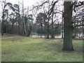 Wood and Lake off Hillswood Drive