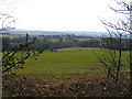 Barnburgh village viewed from NE