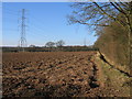 Footpath beside Weethley Wood