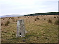 Whitsunbank Hill trig