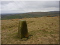 Water Grove trig