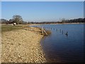 Testwood Lakes Nature Reserve