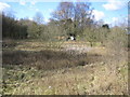 TL0301 : Chipperfield: Windmill Hill pond by Nigel Cox