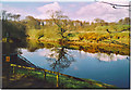 River Coquet at Warkworth.