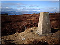 NS2169 : Trig Point on Blood Moss by Thomas Nugent
