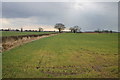 Approaching Snowstorm over Hutton Sessay Farmland