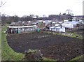 Allotments alongside Hopton New Road, Mirfield (SE203192)