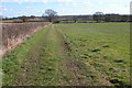 SO8562 : Farmland near Ferndene, Hadley by Philip Halling