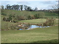 Tranquil River