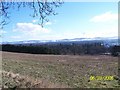 Looking south from Lethendybank