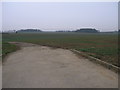 Farm Track and Fields